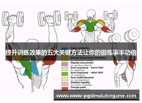 提升训练效果的五大关键方法让你的锻炼事半功倍