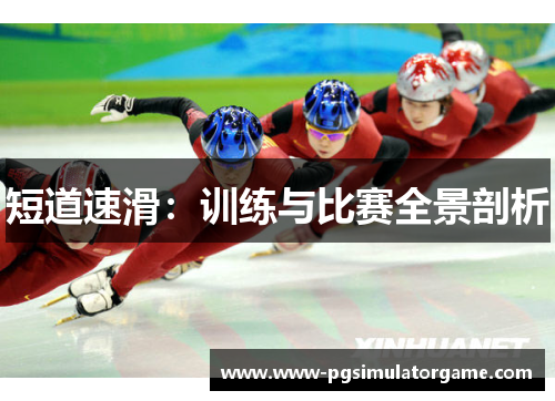 短道速滑：训练与比赛全景剖析