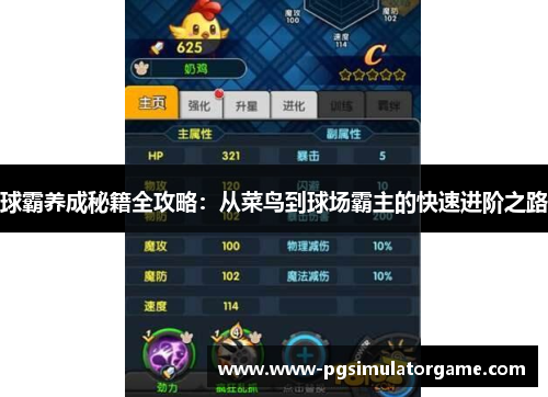 球霸养成秘籍全攻略：从菜鸟到球场霸主的快速进阶之路