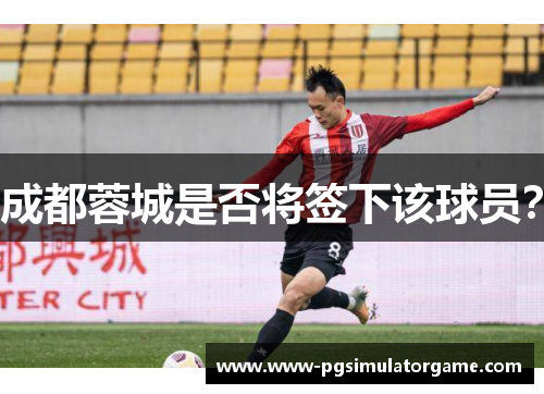 成都蓉城是否将签下该球员？