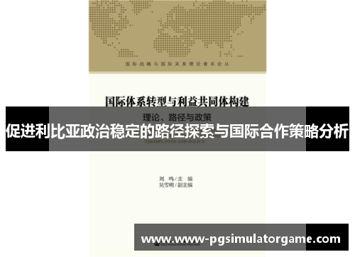 促进利比亚政治稳定的路径探索与国际合作策略分析