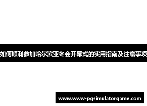 如何顺利参加哈尔滨亚冬会开幕式的实用指南及注意事项