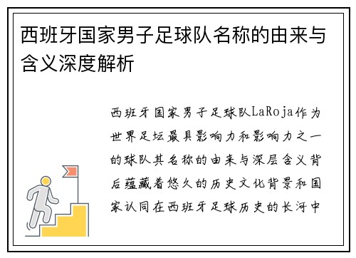西班牙国家男子足球队名称的由来与含义深度解析