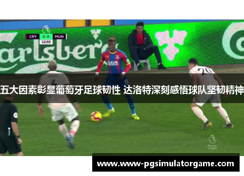 五大因素彰显葡萄牙足球韧性 达洛特深刻感悟球队坚韧精神